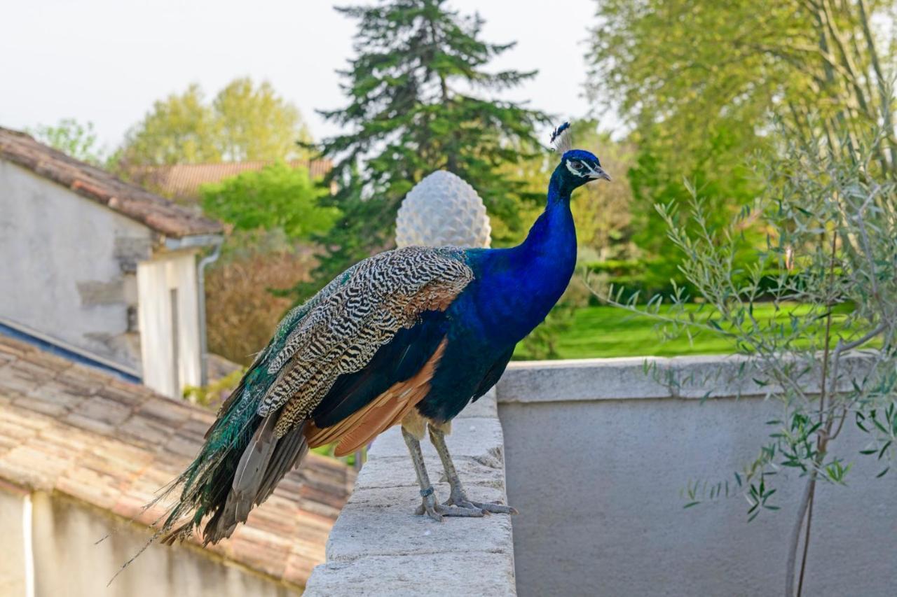 Bastide De Bellegarde Bed and Breakfast Αβινιόν Εξωτερικό φωτογραφία